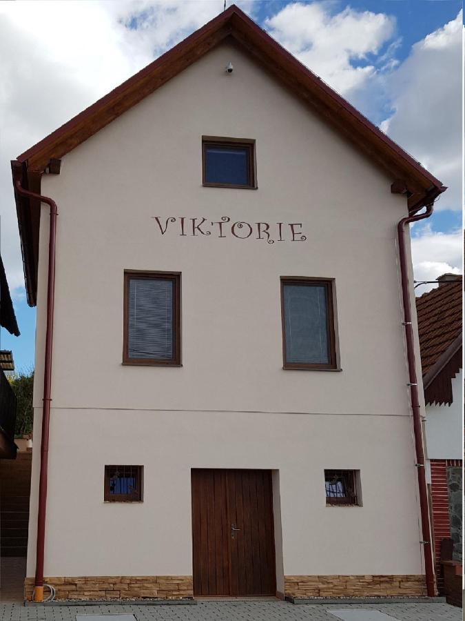 S Vinnym Sklepem Viktorie *