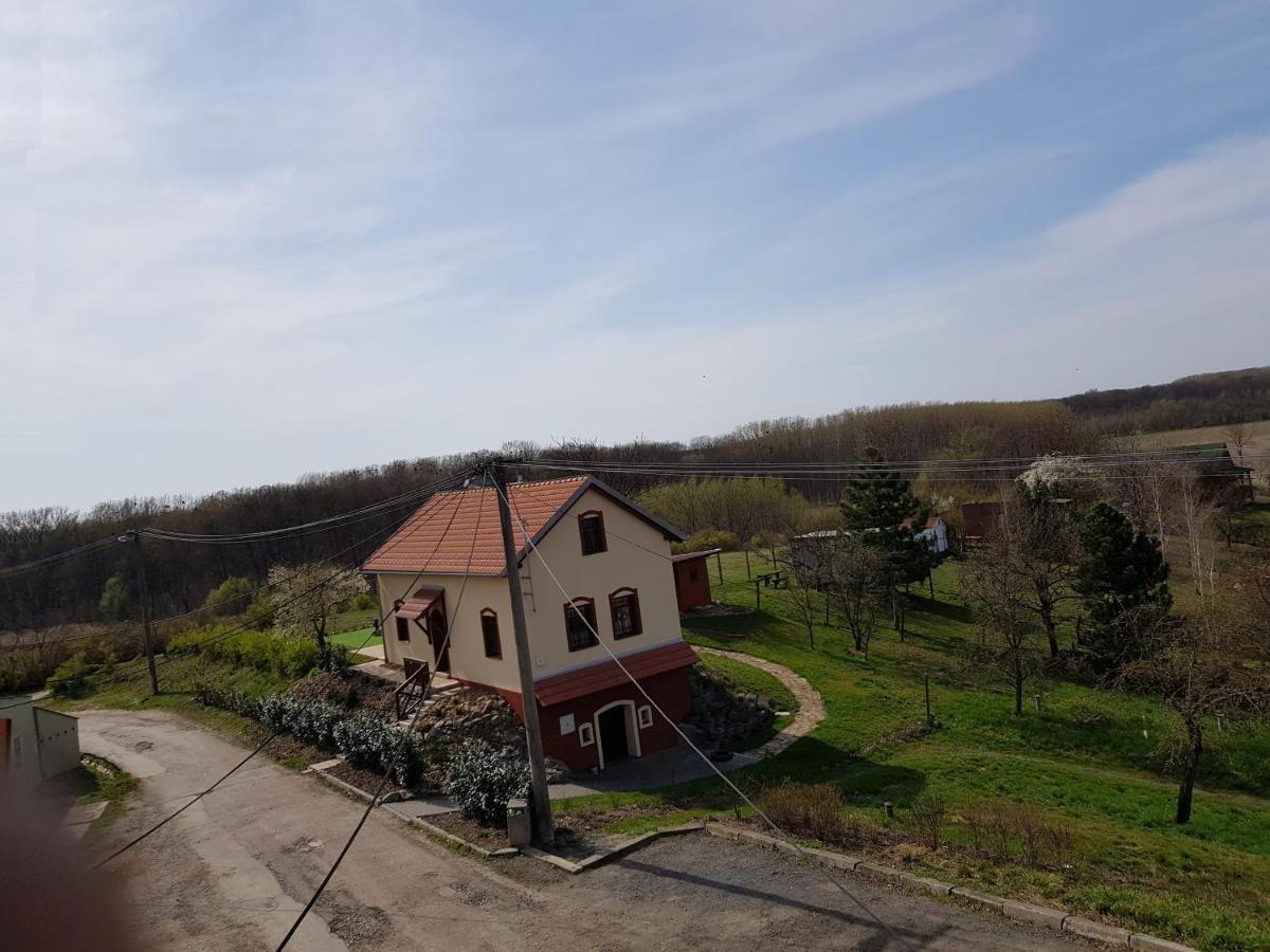 S Vinnym Sklepem Viktorie Pouzdrany